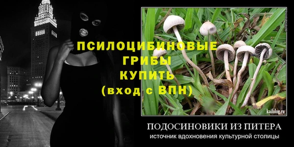кокс Алексин