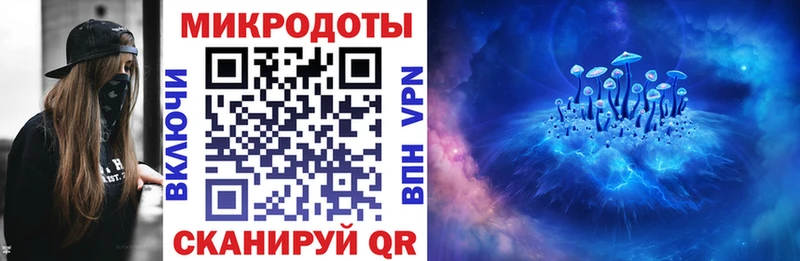 Псилоцибиновые грибы Psilocybine cubensis  купить  сайты  Жирновск 